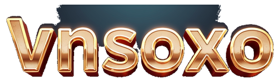 vnsoxo logo